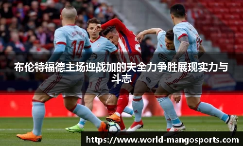 布伦特福德主场迎战加的夫全力争胜展现实力与斗志